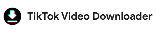 TikTok Video Downloader